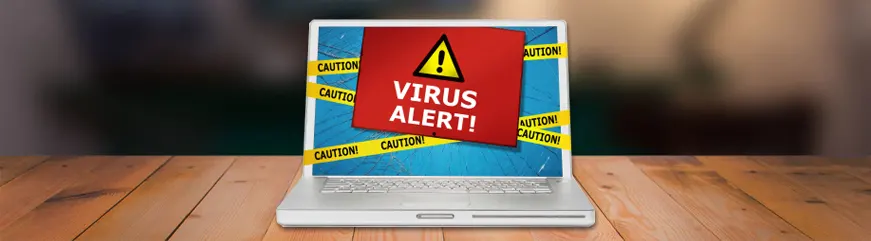 Computer Virus and Malware